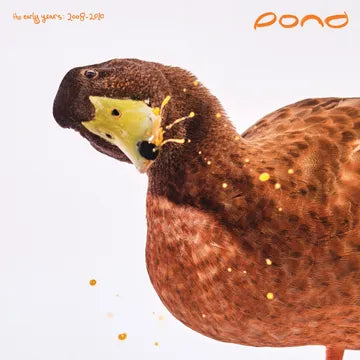 Pond - The Early Years: 2008- 2010 (2xLP, RSD 2025)