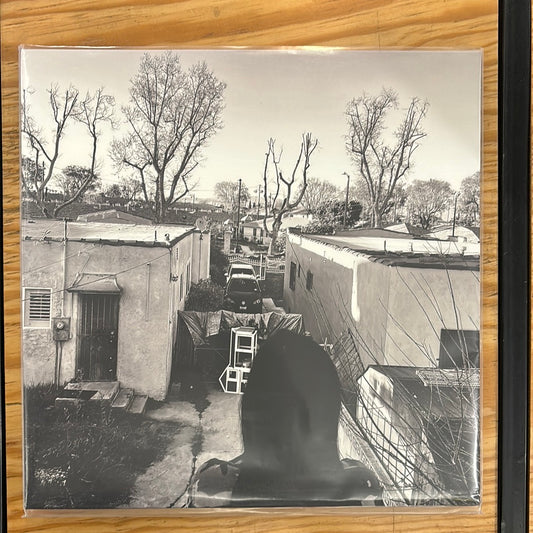 GENERACION SUICIDA - regeneración 2022 (lp transparente)