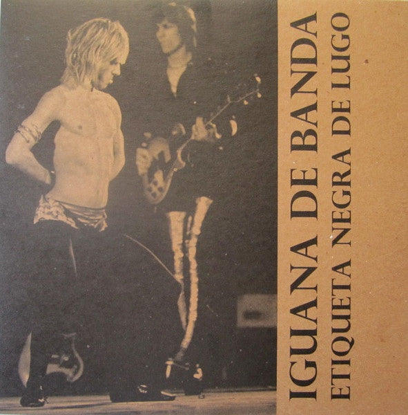 Iguana de banda - etiqueta negra de Lugo