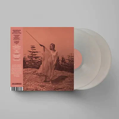 Unknown Mortal Orchestra - II (10 Year Anniversary Reissue, 2xLP Aluminum vinyl)