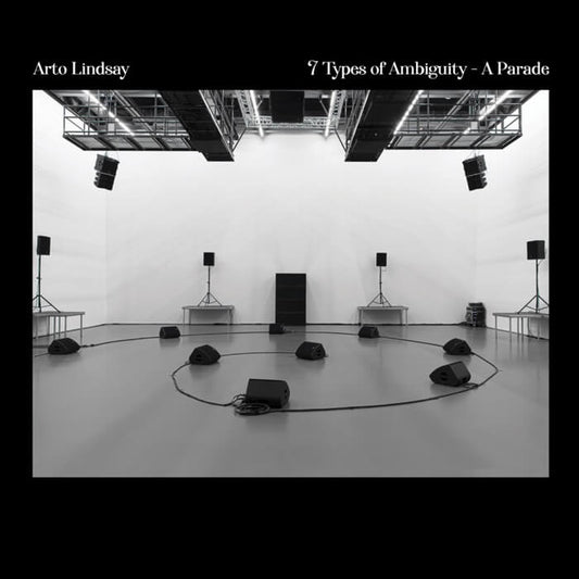 Arto Lindsay - 7 Types Of LP