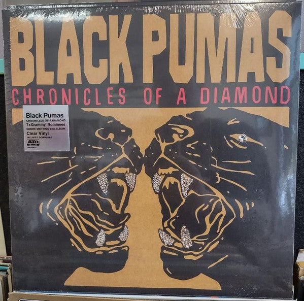 Black Pumas - Chronicles Of A Diamond (clear vinyl)