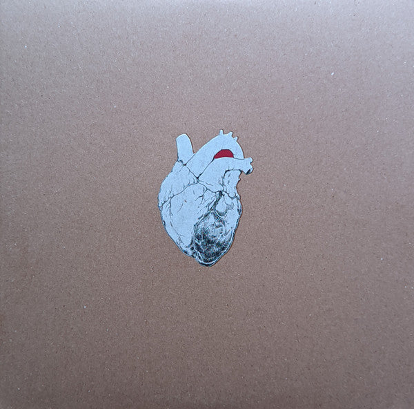 Swans - The Beggar (2xLP)