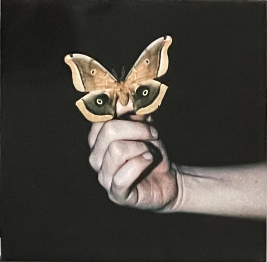 Soulwax - All Systems Are Lying (2xLP)