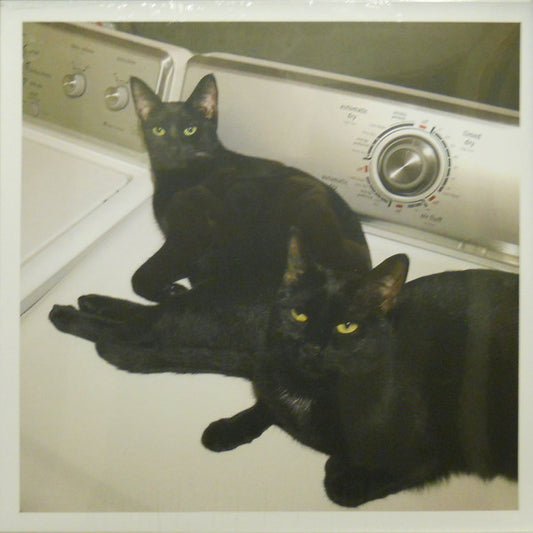 Sam Prekop and John McEntire - Sons Of