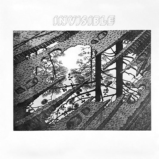 Invisible - Invisible (2xlp)