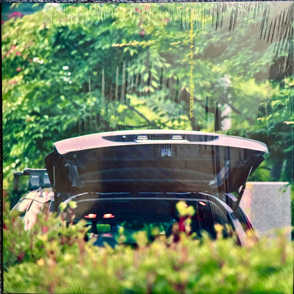 Eiko Ishibashi & Jim O'Rourke - Pareidolia