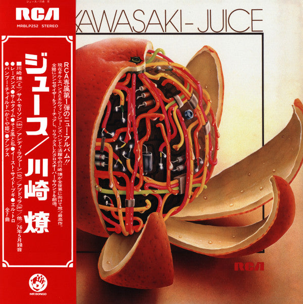 Ryo Kawasaki = 川崎燎* - Juice = ジュース
