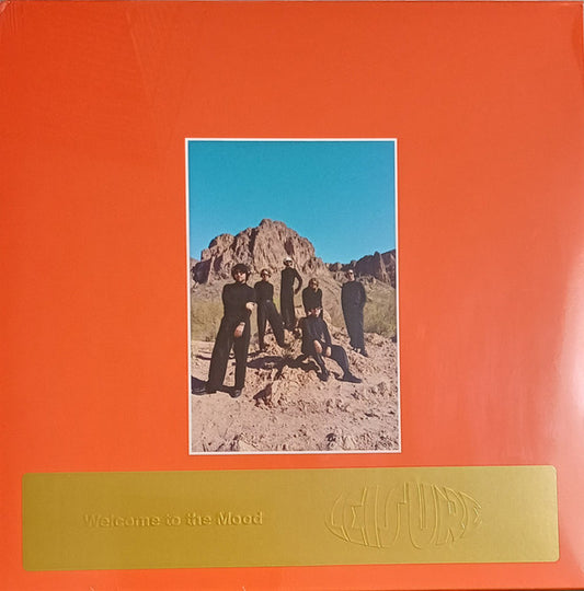 Leisure - Welcome To The Mood