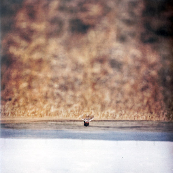 Jim O'Rourke - Hands That Bind (Original Motion Picture Soundtrack)