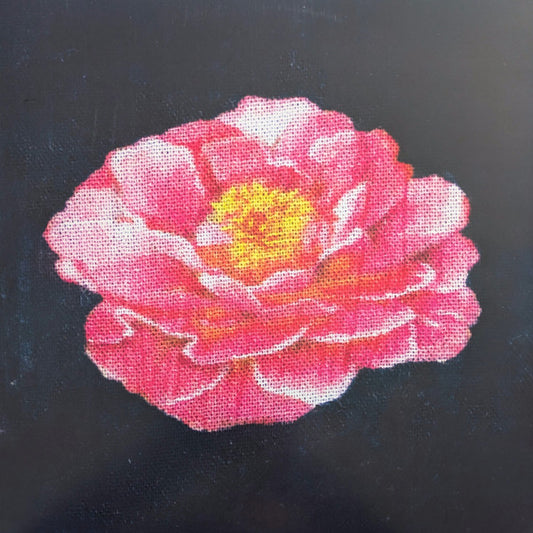 Post Malone - Tribute To Nirvana