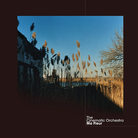The Cinematic Orchestra - Ma Fleur (2xlp)
