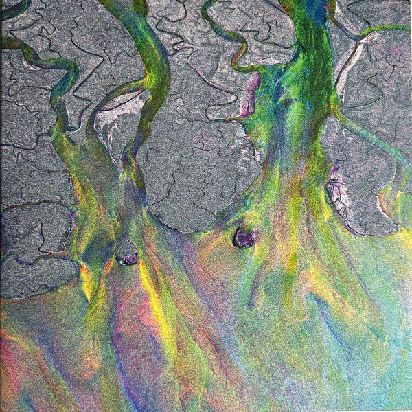 alt-J - An Awesome Wave - Salvaje Music Store