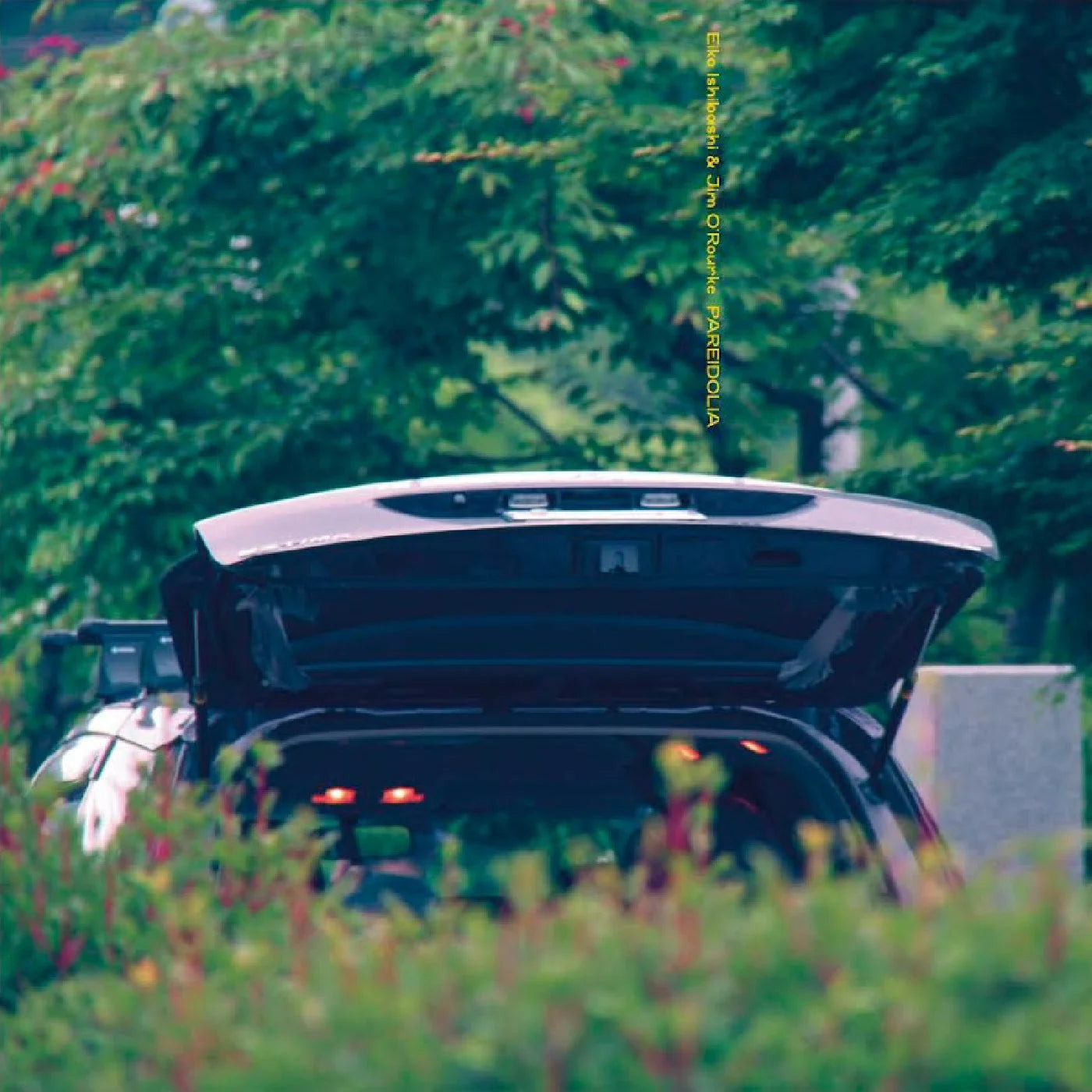 Eiko Ishibashi & Jim O'Rourke - Pareidolia