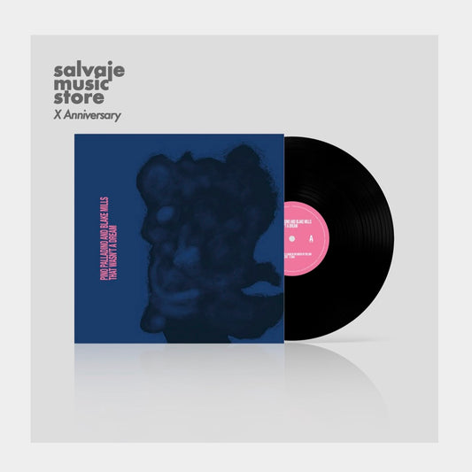 Pino Palladino & Blake Mills - That Wasn't A Dream