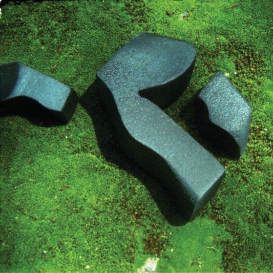 Camila Fuchs - Heart Pressed Between Stones (Color LP) Vinil - Salvaje Music Store MEXICO