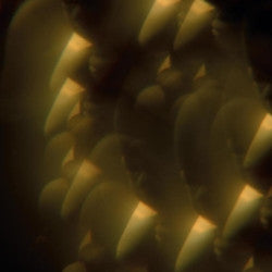 Jarvis Cocker - Music From "Likely Stories" (7") Vinil - Salvaje Music Store MEXICO