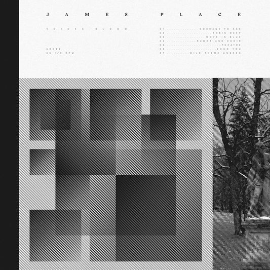 James Place - Voices Bloom (Neon orange vinyl) Vinil - Salvaje Music Store MEXICO