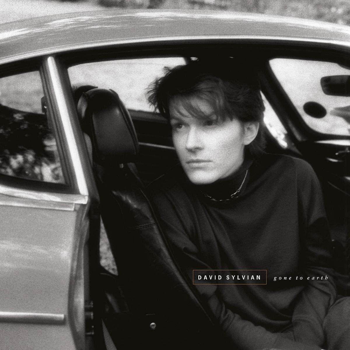 David Sylvian ‎– Gone To Earth (2xLP, 180g)