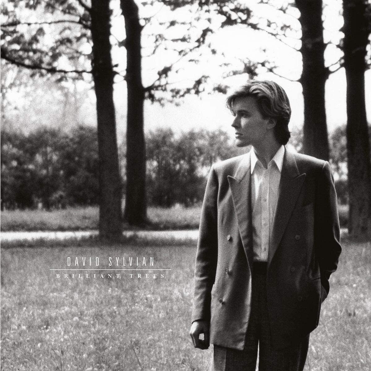 David Sylvian – Brilliant Trees (180g)