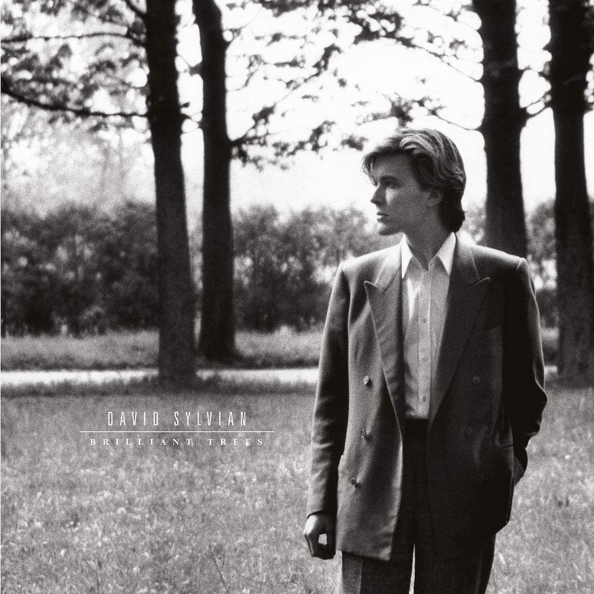 David Sylvian ‎– Brilliant Trees (180g)