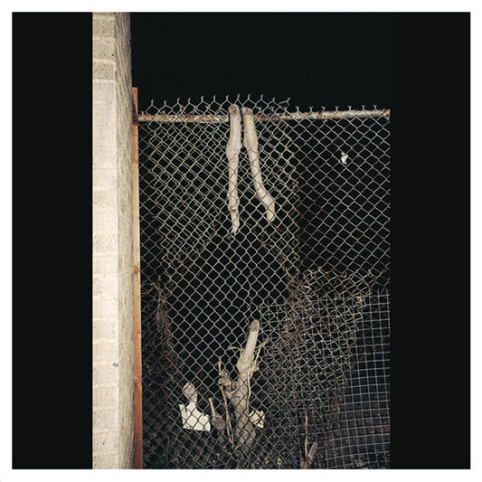 Bruta Non Calculant - World In A Tear Vinil - Salvaje Music Store MEXICO