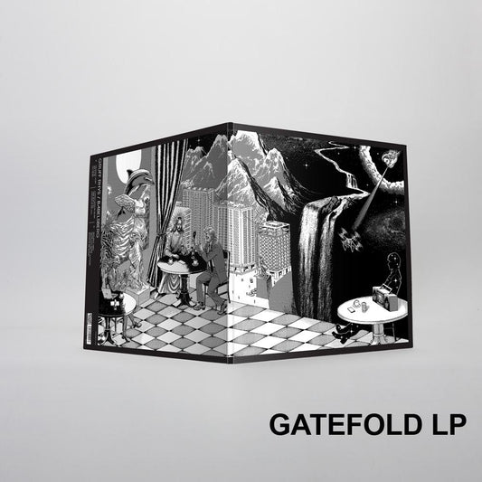 Gruff Rhys - Babelsberg Vinil - Salvaje Music Store MEXICO