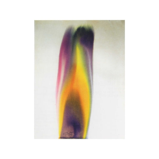 Eliane Radigue - Chry-Ptus (2xLP)