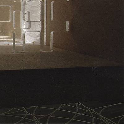 Microstoria - Model 3, Step 2 Vinil - Salvaje Music Store MEXICO