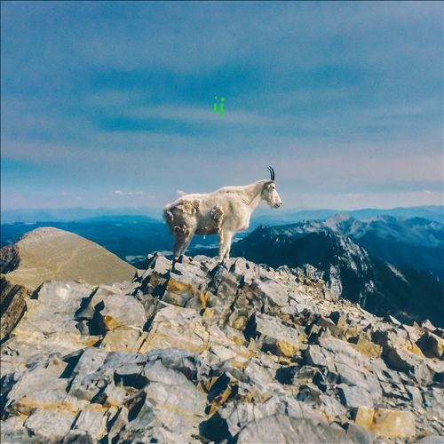 Liima - ii Vinil - Salvaje Music Store MEXICO