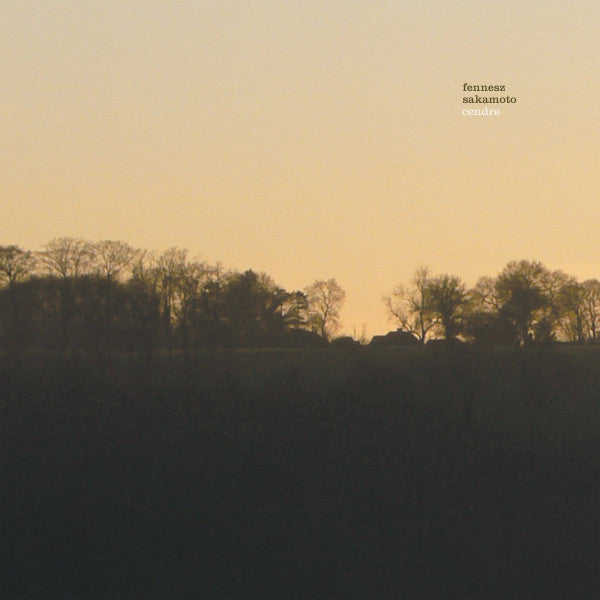 Fennesz Sakamoto* - Cendre (2x"10")