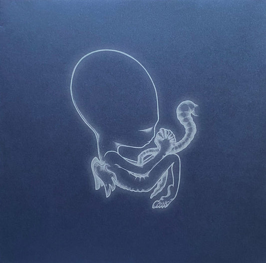 Sigur Rós - Ágætis Byrjun