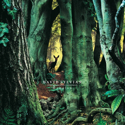 David Sylvian - Manafon (180gr, 2XLP)