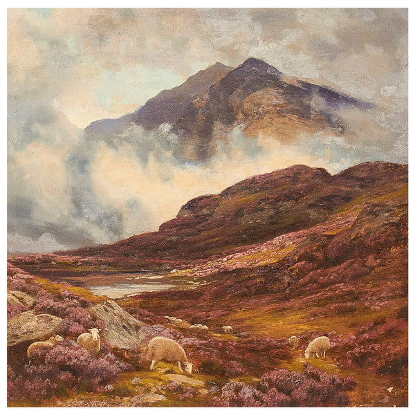 Råå - Ljungens Lag