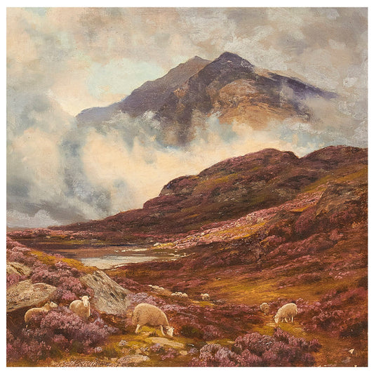 Råå - Ljungens Lag