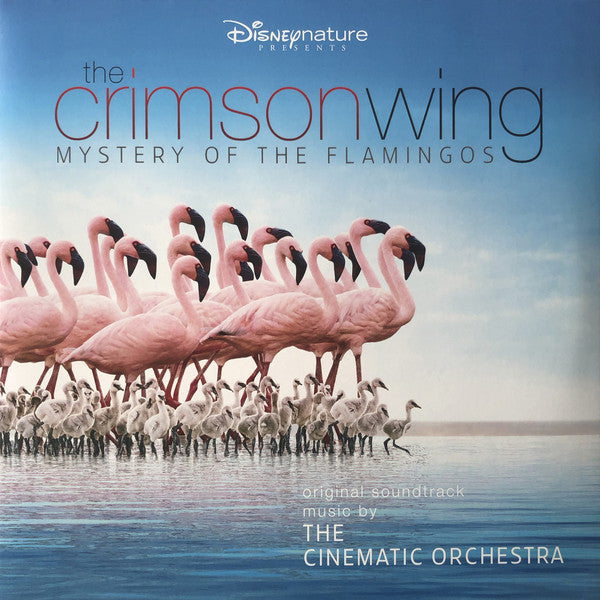 The Cinematic Orchestra - The Crimson Wing - Mystery Of The Flamingos - Salvaje Music Store