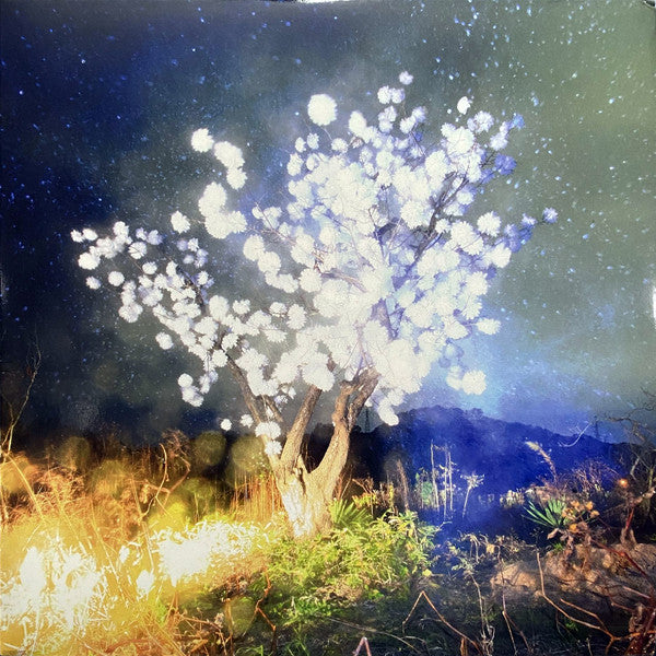 The Notwist - Vertigo Days (2xLP)