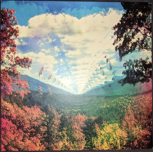 Tame Impala - Innerspeaker (2010 ➝ 2020) (4xLP)