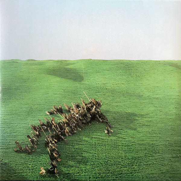 Squid - Bright Green Field (2xlp)