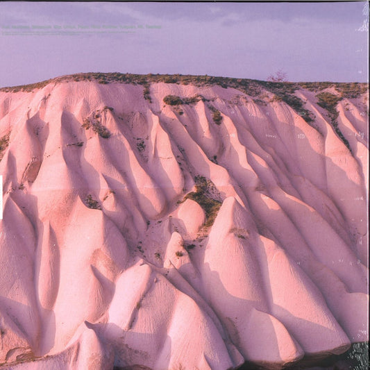 Autechre - Amber (2xLP) Vinil - Salvaje Music Store MEXICO