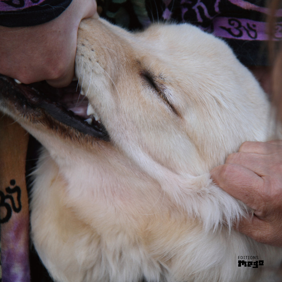 Christian Fennesz & Jim O'Rourke - It’s Hard For Me To Say I’m Sorry LP Vinil - Salvaje Music Store MEXICO