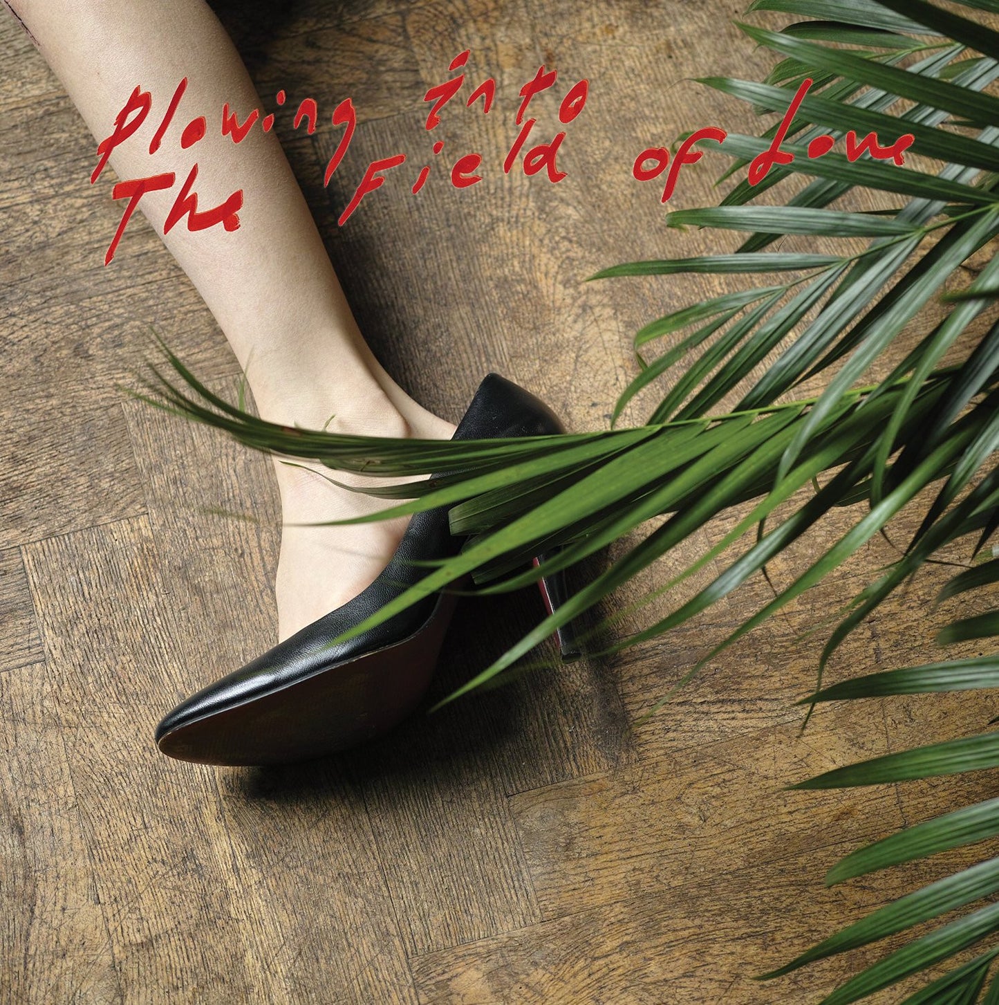 Iceage - Plowing Into The Field Of Love Vinil - Salvaje Music Store MEXICO
