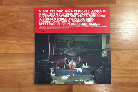 Intestino Grueso - Intestino Grueso