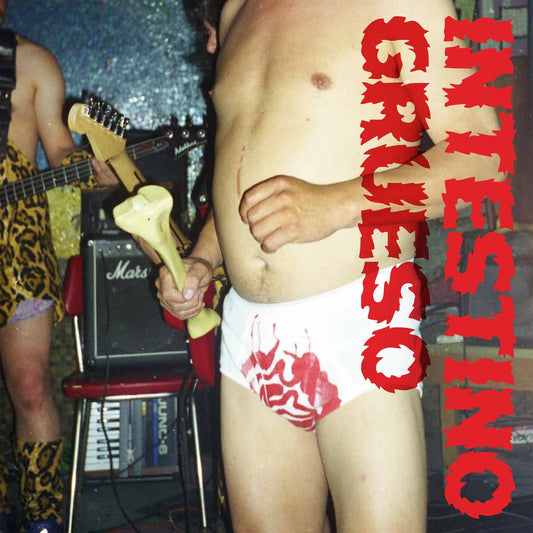 Intestino Grueso - Intestino Grueso