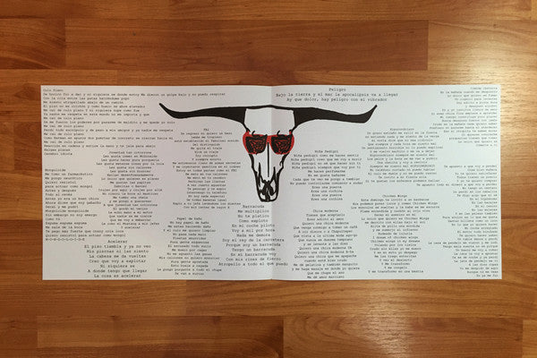 Intestino Grueso - Intestino Grueso