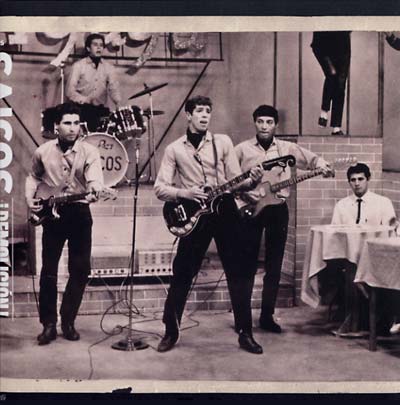 Los Saicos - Demolicion: The Complete Recordings Vinil - Salvaje Music Store MEXICO