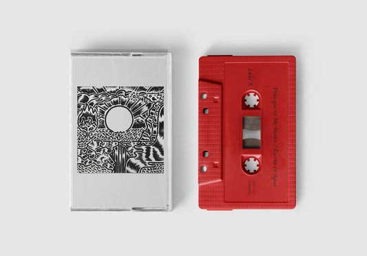 Diles Que No Me Maten - Escrito en Agua (casete)