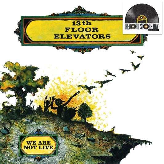 13th floor elevators - We Are Not Alive (RSD 2026)