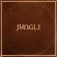 JUNGLE - SUNSHINE (desert peach vinyl) pre venta: sale el 14 de agosto de 2026.