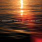 Romeo Santos + Prince Royce - Better Late Than Never